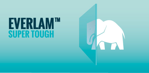 Everlam Super Tough, la nuova soluzione in Pvb rigido